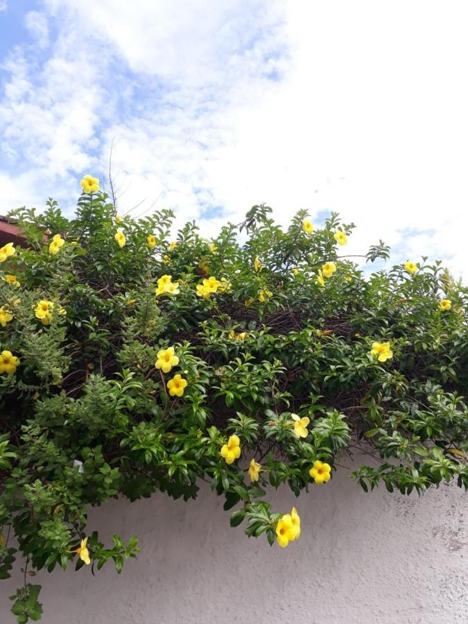 Ferienwohnung Apartamento Cravado Entre Os Principais Pontos Turisticos Águas de Lindóia Exterior foto